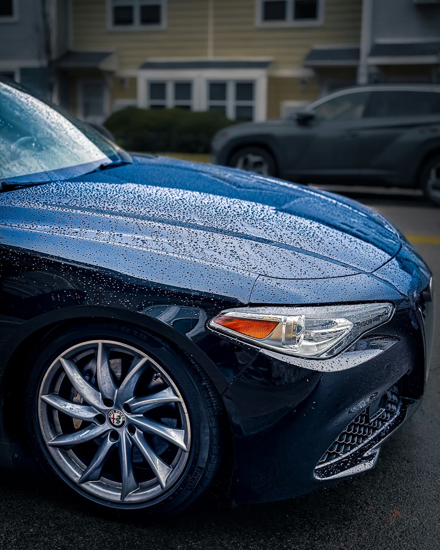 Water beading on the hood of a dark blue car